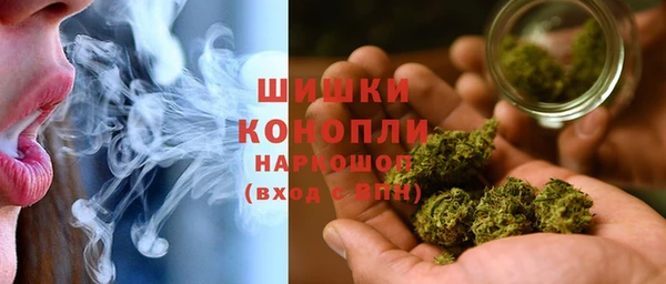 spice Гусиноозёрск