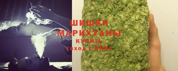 spice Гусиноозёрск