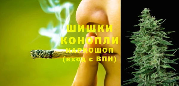 дживик Гусев