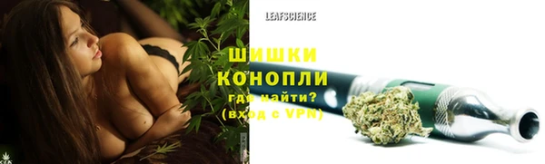 spice Гусиноозёрск