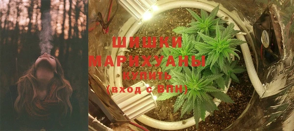 spice Гусиноозёрск