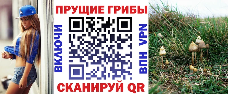 Галлюциногенные грибы Cubensis  купить наркотик  Ильский 